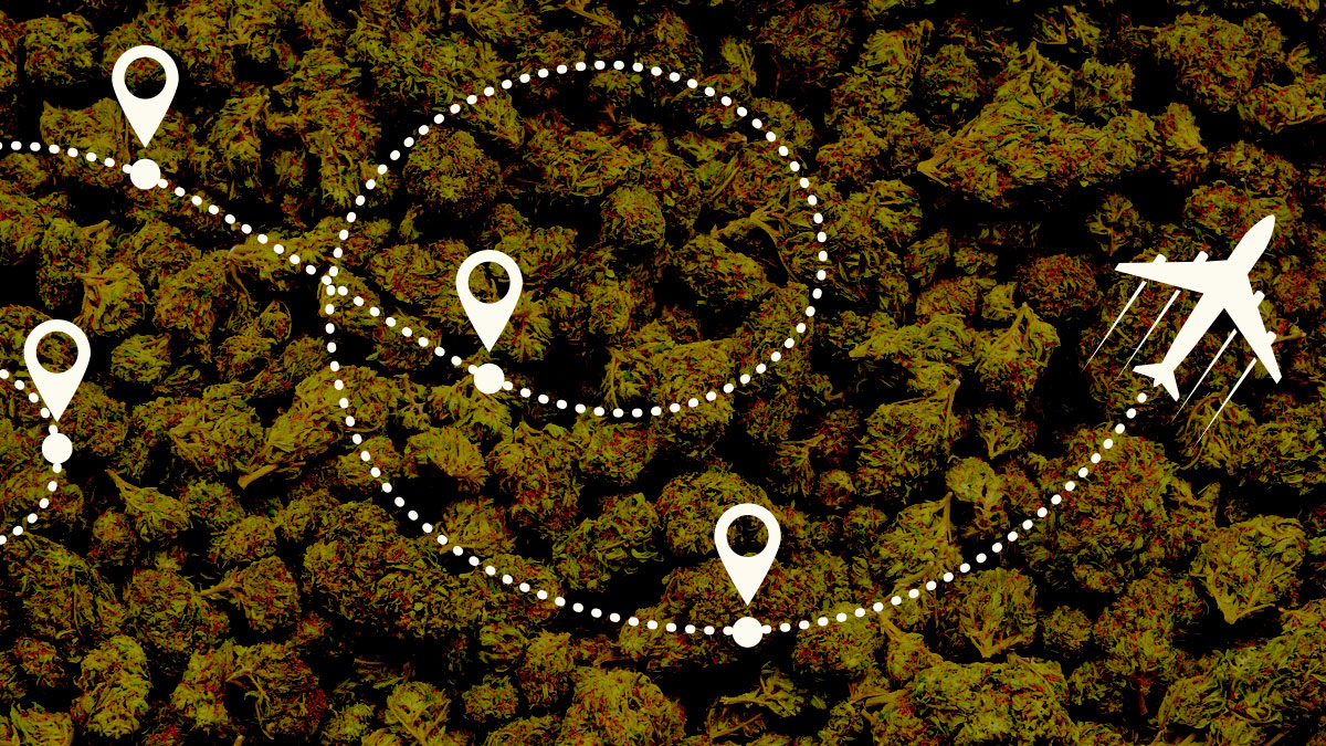 What You Need to Know Before Traveling with CBD in the United States