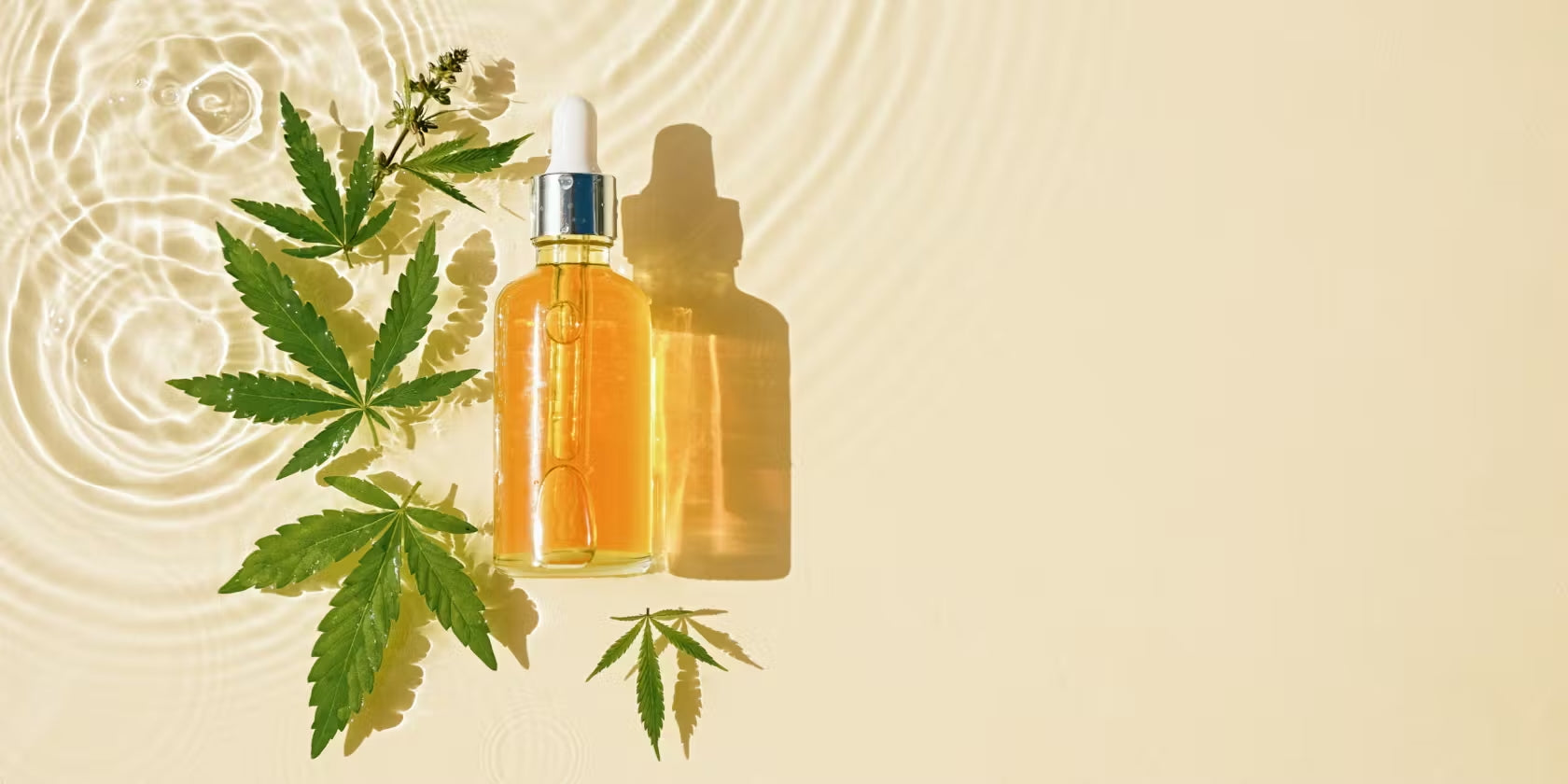 How CBD Supports a More Balanced Outlook